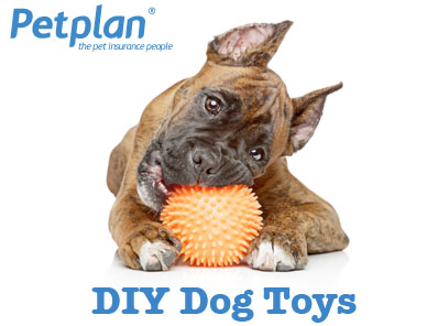 DIY Toys Dogs