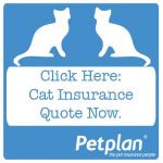 get a quote cat