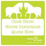 get a quote equine