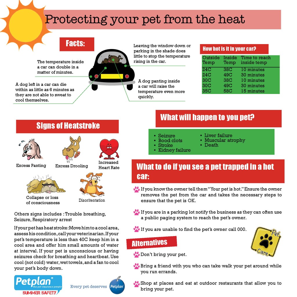 Heat-Infographic-1024x1024