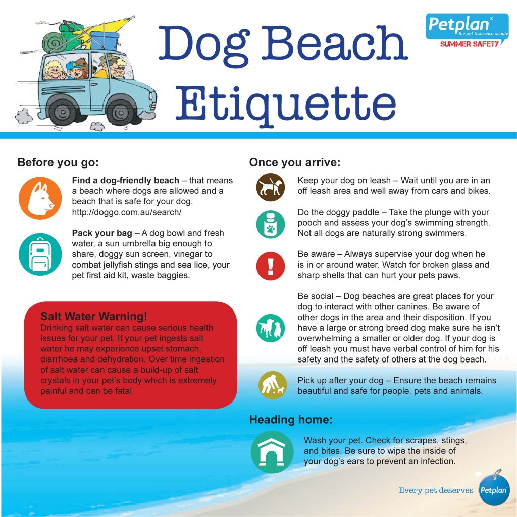 III. Understanding the Dangers of Water for Dogs