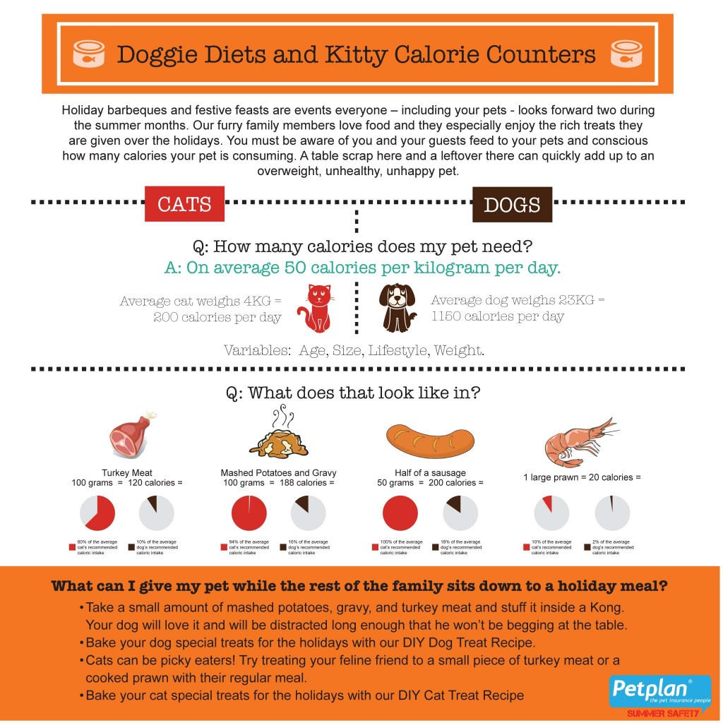 doggy-diet-and-cat-calories-1024x1024