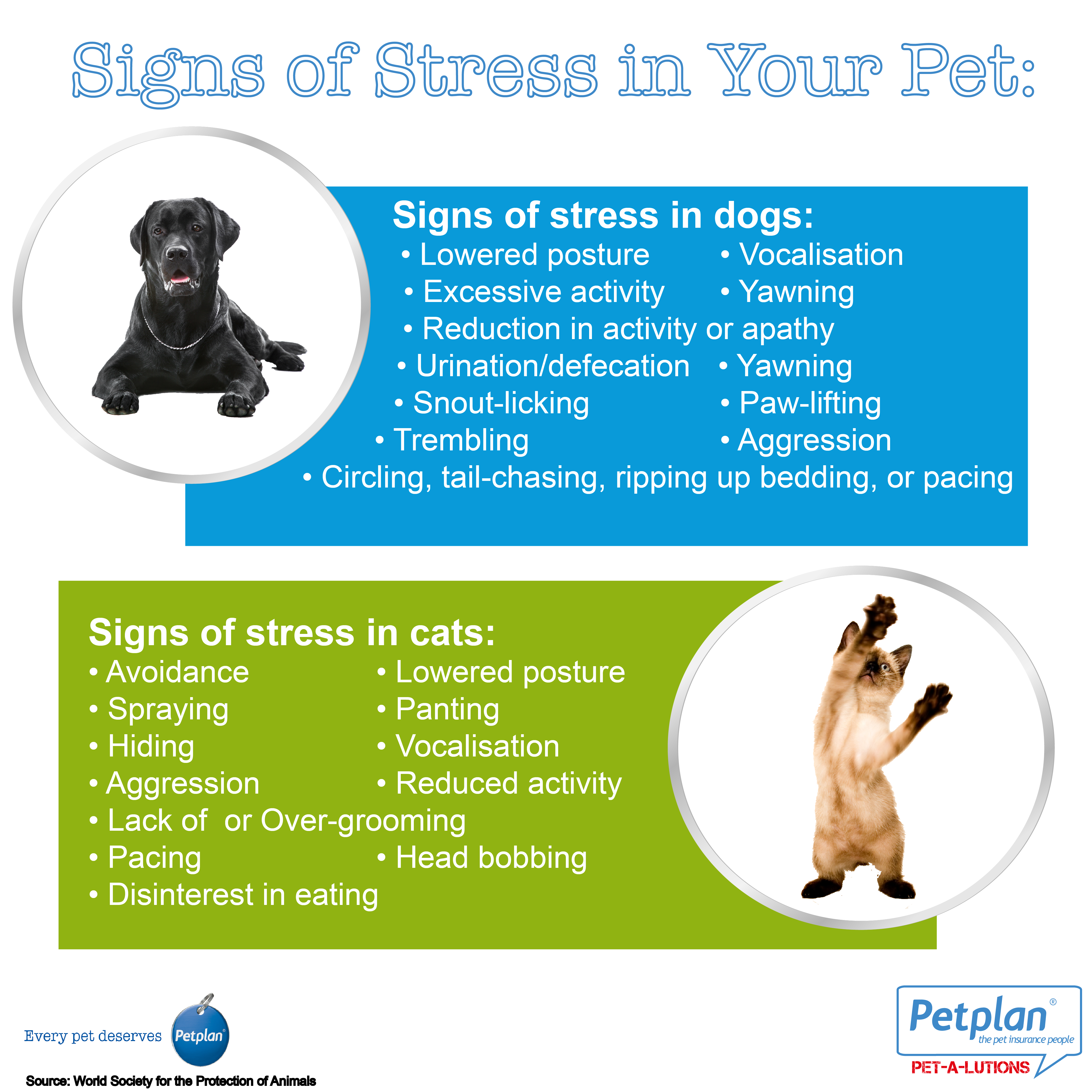 Signs of stress in your pet