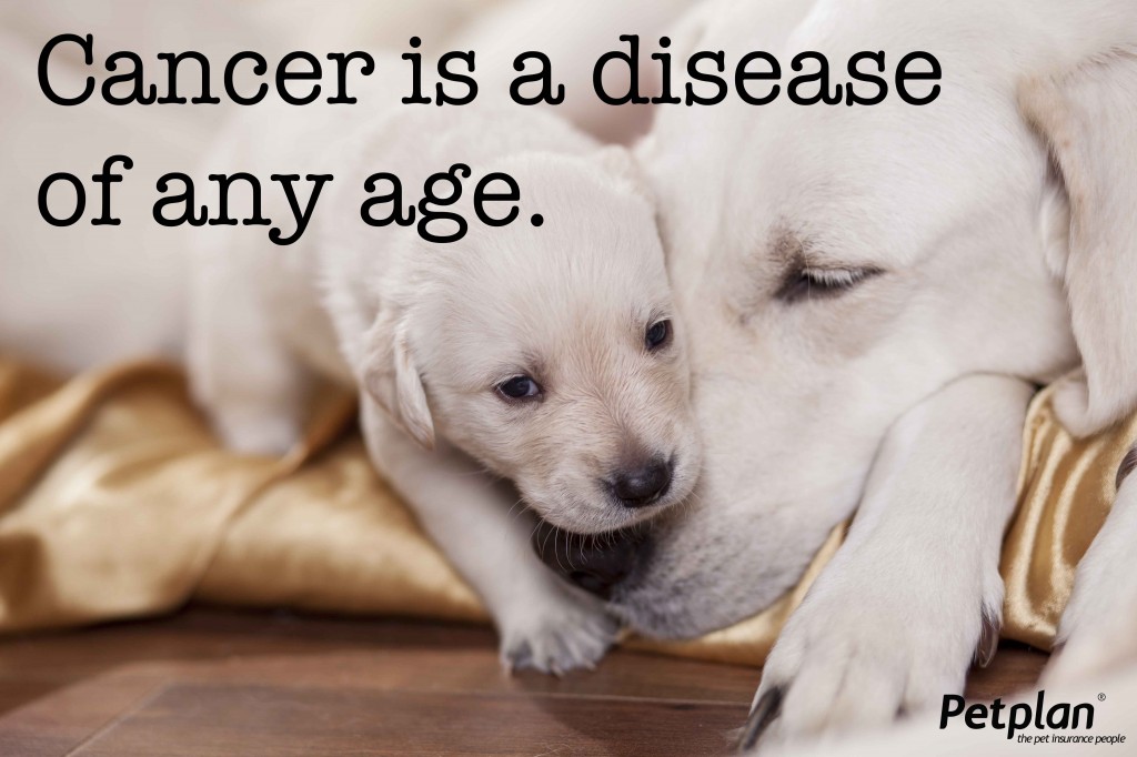 Cancer is a Disease of Any Age