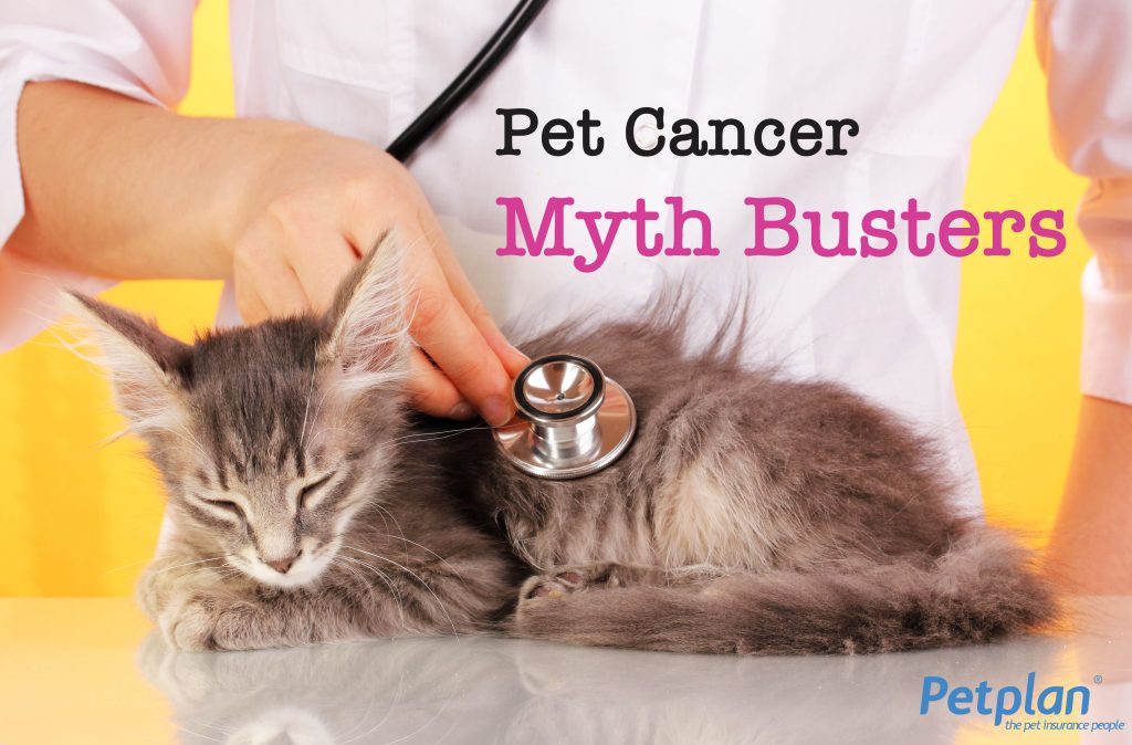 Pet Cancer Myth Busters