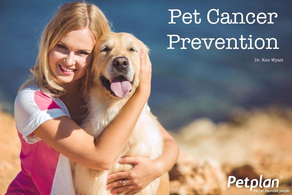 Pet Cancer Prevention Tips