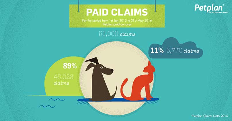 Is Pet Insurance worth it? | Petplan Blog