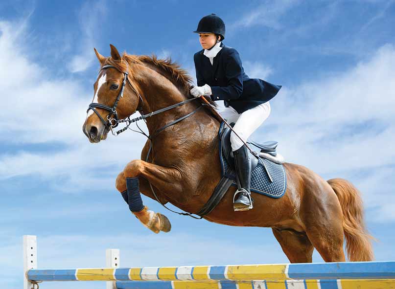Fitness horse Riding