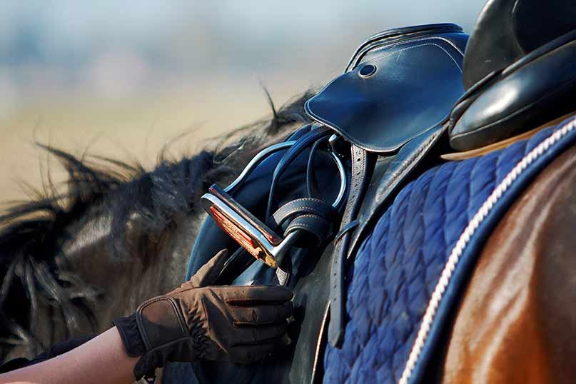 saddle fit for rider and horse