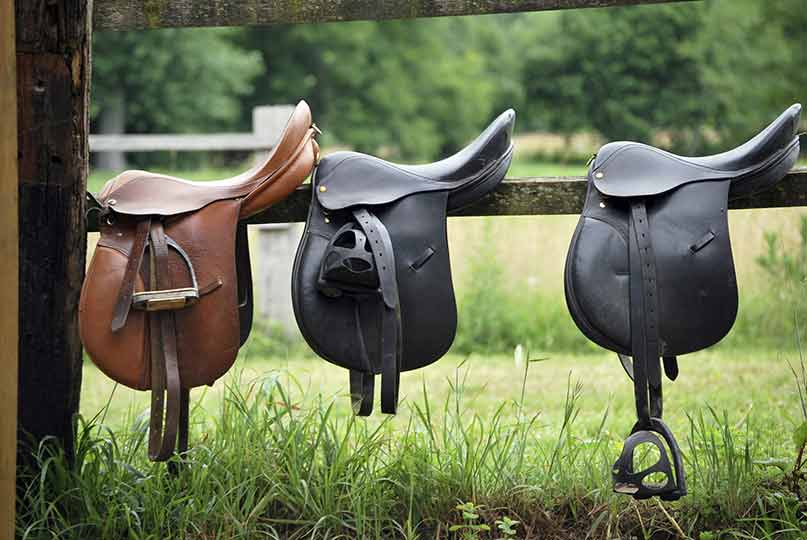 saddle fitting for your horse
