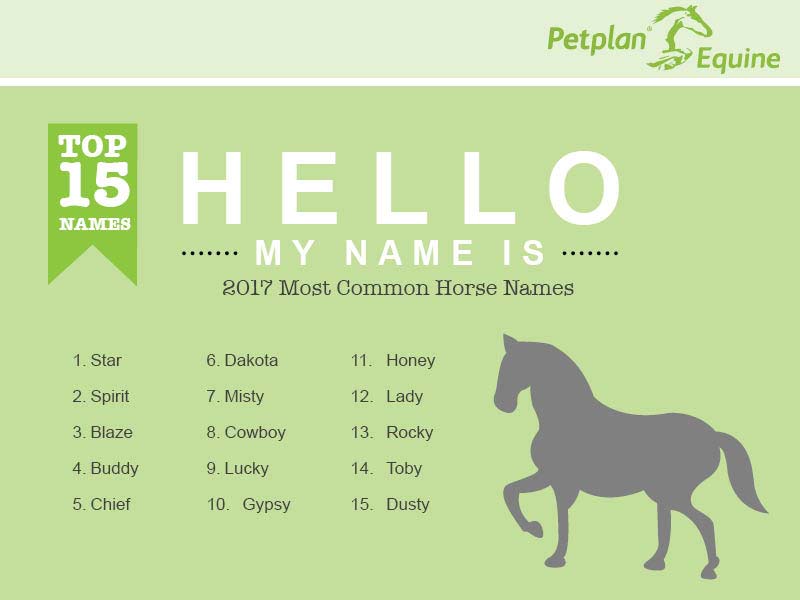 Horse-names