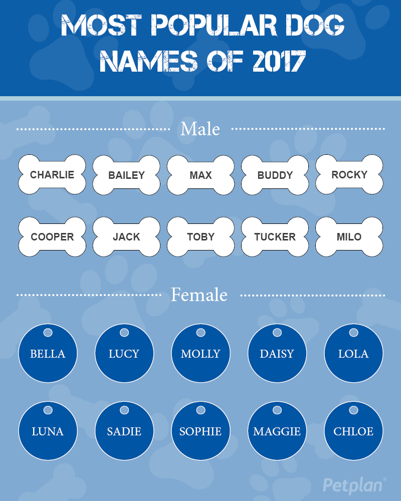 pet names