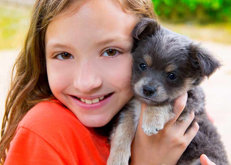 New Zealand Pet Insurer | Understanding pet therapy «