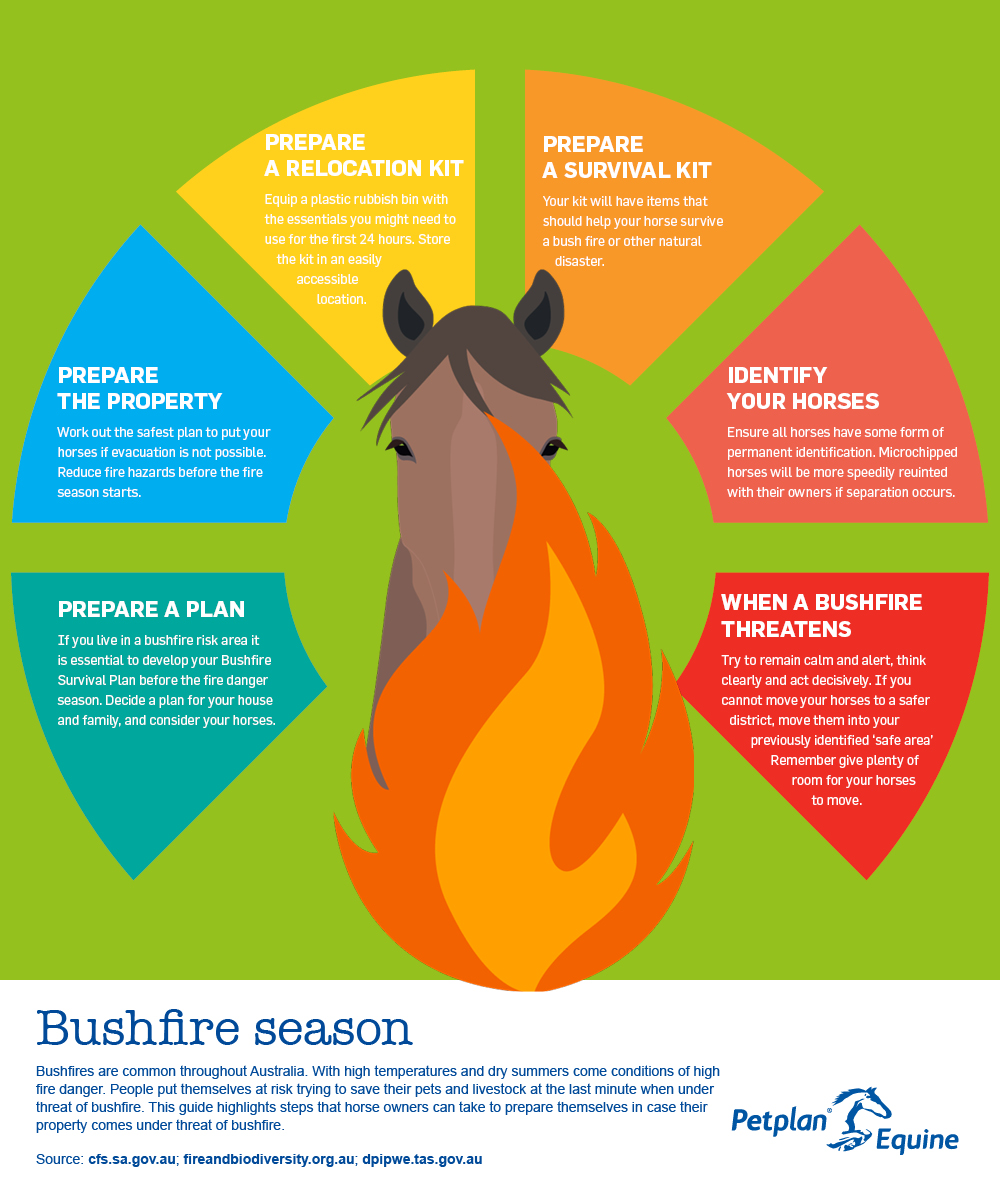 Equine Bushfire season
