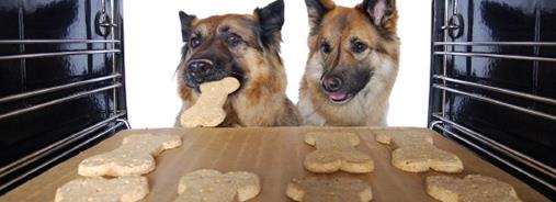 Mmmmm.. Cookie Dough for Dogs