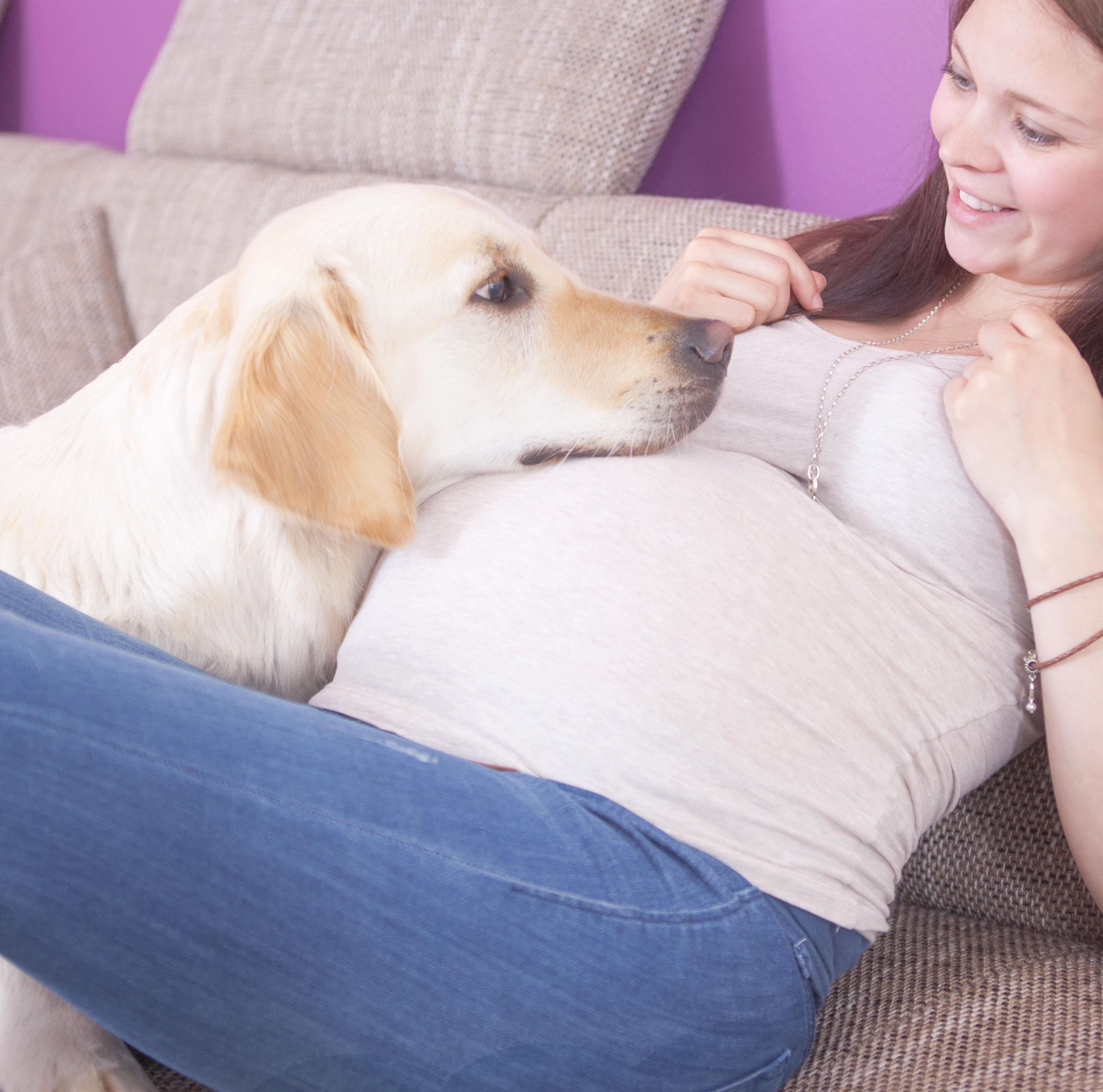 How Pets Protect Unborn Babies