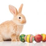 2013 - Mar 25 - Easter bunny