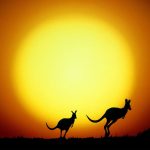 The-Kangaroo-Hop-Australia-Wallpaper-1