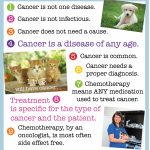 10 Things Pet Cancer