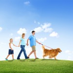 Dog and family in park