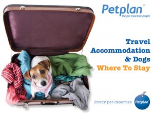 2014-16-08 Travel Accommodation for Dogs