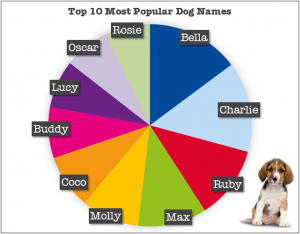 Dog picture names